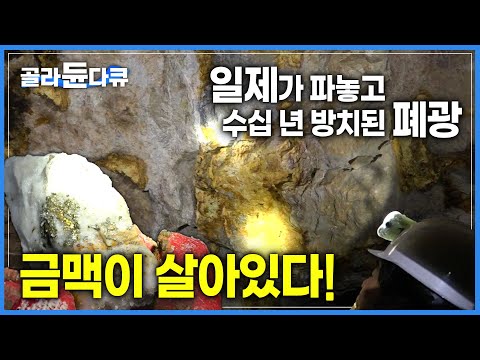   채굴 끝난 줄 알고 무너진 채 방치된 폐광 아래 손도 대지 않은 황금 발견 금광으로 효용가치는 ㅣ황금빛 꿈을 캐다 금광 갱도 보수 작업 현장ㅣ극한직업ㅣ 골라듄다큐