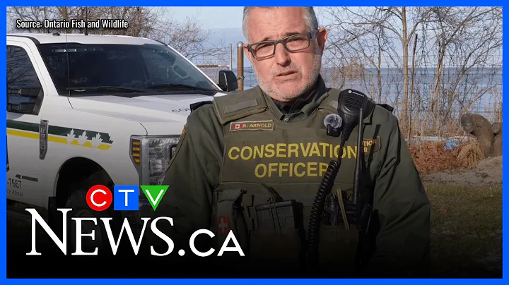 Ontario fines American duo $3,260 for out-of-season bass fishing