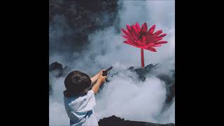 Soft Kill: "Veil of pain" (feat. N8NOFACE)