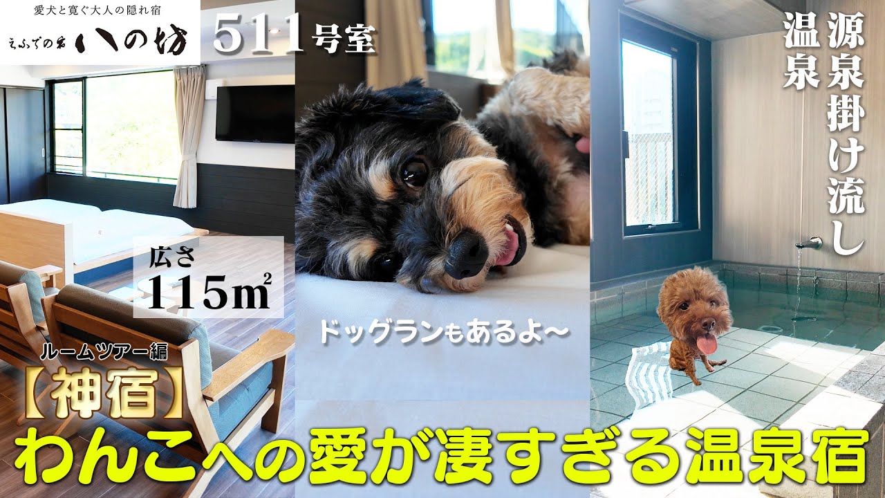【神宿】わんこへの愛が凄すぎる温泉宿 “小松家 八の坊”へ 〜ルームツアー編 〜