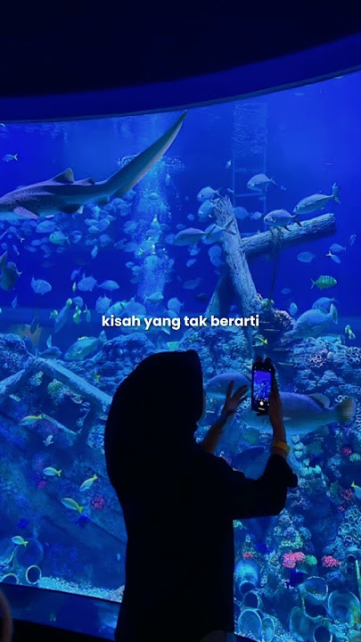 Di Balik Pertanda - Kaleb J #fyp #liriklagu #lirik #trendingshorts #musik #musikstory #storywa