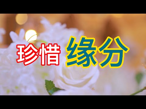 珍惜缘分 学会生活