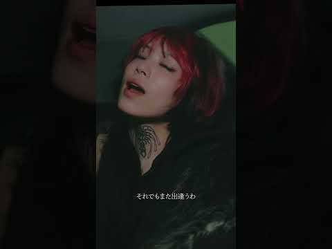 【Teaser】ぶっ恋呂百花『昆虫』(Official Music Video)【Shorts】