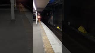 【警笛吹鳴】EF64国鉄色重連 金山駅通過