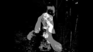 Stygg - I Dream Of Killing You Softly