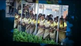 Jamaica 2012.mp4