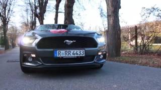 Buchbinder Mustang RV screenshot 5