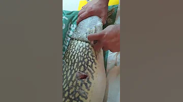 как почистить щуку