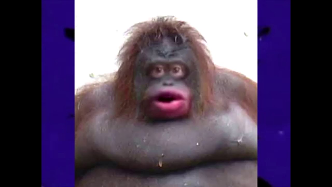 Whoa I Made Uh Oh Stinky Csupo YouTube whoa-i-made-uh-oh-stinky-csupo-youtube