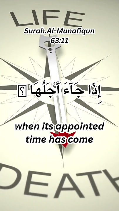 Surah.Al-Munafiqun(63:11)/Recitation with English translation#islamic #islam #islamicstatus #quran