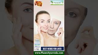 Best Herbs for LiverCare & Protection explained in Detail- Yakrit Plihantak Natural Hepatoprotective