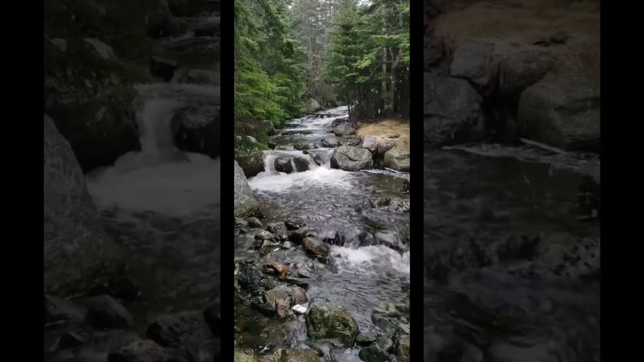 YouTube에서 Deep Relaxation Spa Music with Nature Sounds of Stream Running through Forest with Falling Snow 보기 YouTube에서 Deep Relaxation Spa Music with Nature Sounds of Stream Running through Forest with Falling Snow 보기