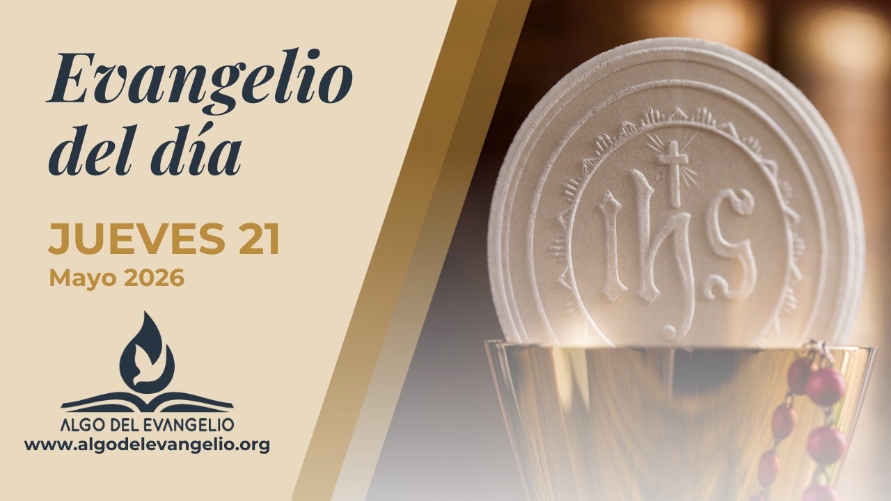 Evangelio de hoy | 21 de mayo de 2026 | VII Jueves de Pascua | san Juan ...
