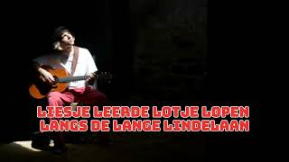Liesje Leerde Lotje Lopen Remix Lyrics