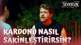 Kardonu Nasıl Sakinleştirirsin? - Seversin 6. Bölüm