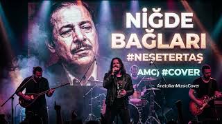 Niğde Bağları Şetertaş (Amc)