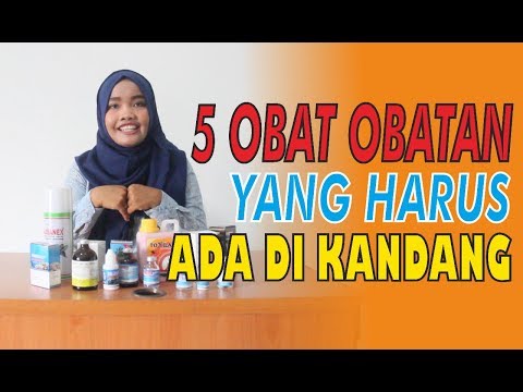 Video: Vitamin Apa Yang Dibutuhkan Hewan?