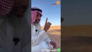 عسل الطلح أحد الثروات والخيرات التي وهبنا الله ايها من اشجار بيئتنا الصحراوية