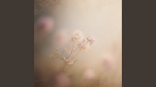 Color of the Memory