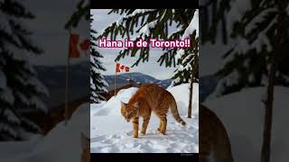 The Grand Line - Hana