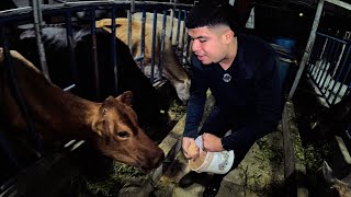 Un DÍA en una MINI GRANJA 🐮🐔