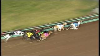 MEA SAT 15 JUL 17 R12