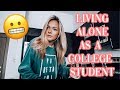 A Day In The Life Of A College Student Living Alone