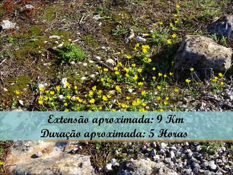 Cal&ccedil;ada Romana de Alqueid&atilde;o da Serra