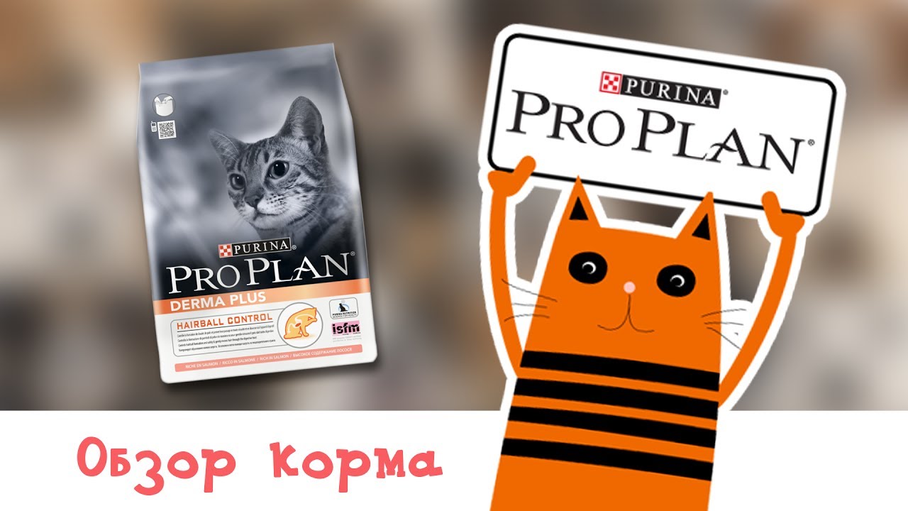 Обзор корма Pro Plan Derma Plus Hairball Control
