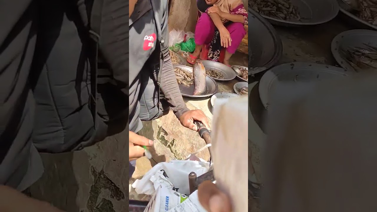 Evaly Product Customer Review 2021,