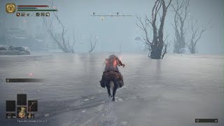 Borealis The Freezing Fog Consecrated Snowfield - Elden Ring - Levelone Build