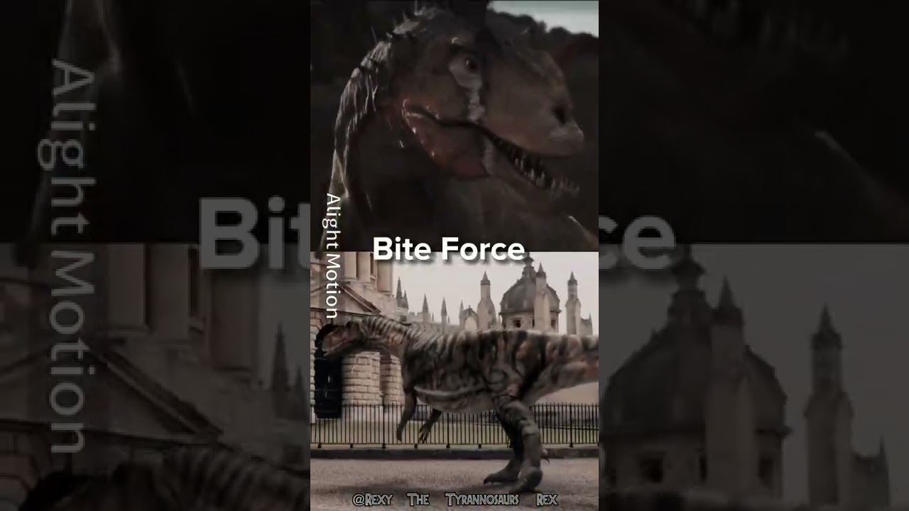 Megalosaurus VS Allosaurus 