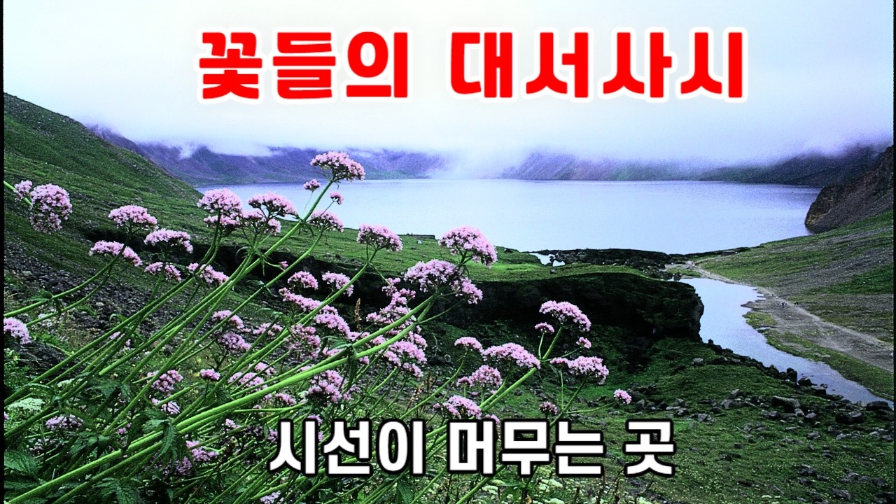 [4K 힐링] 꽃들의 대서사시 : 대자연이 선사하는 아름다운 꽃밭 풍경