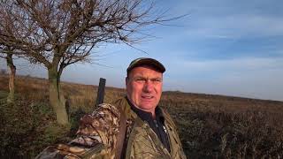 Охота на зайца от первого лица. Выход #2 Hare hunting in the first person