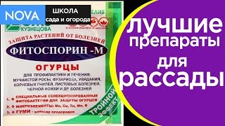 Стимуляторы роста растений. Как правильно применять стимуляторы роста растений.NOVA(, 2017-03-18T16:23:05.000Z)