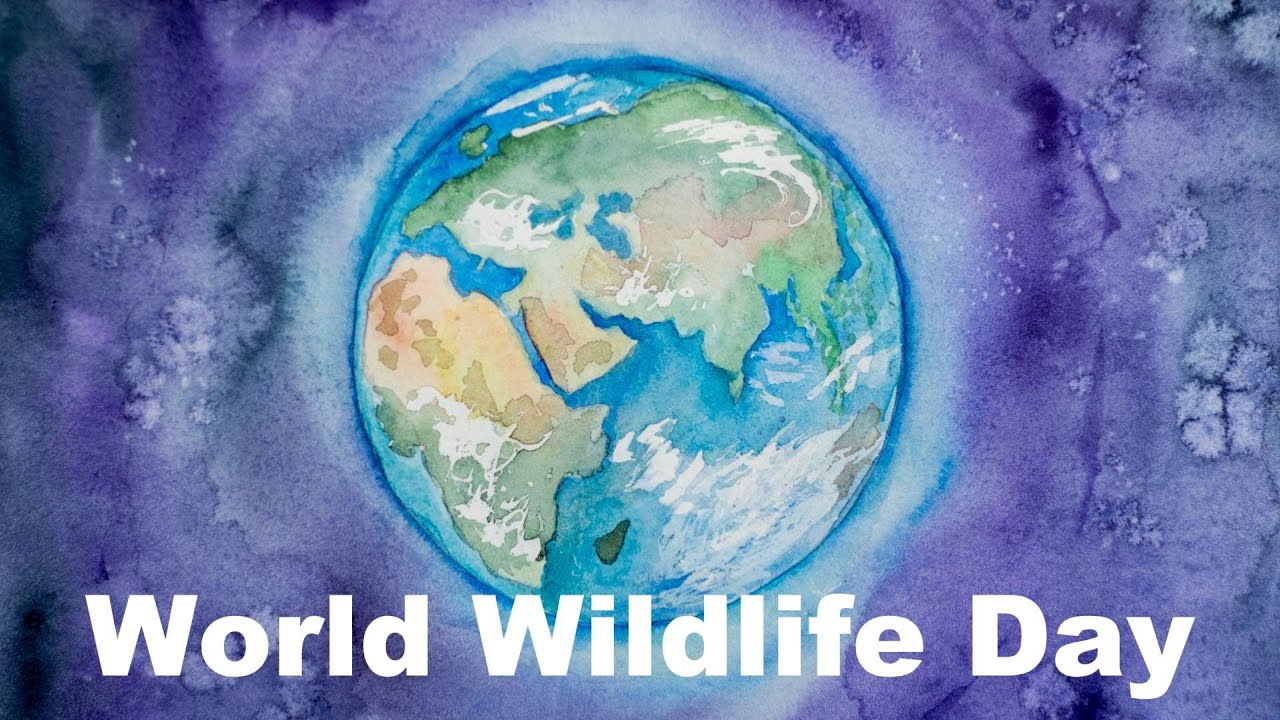 World Wildlife Day | Kid Reporter