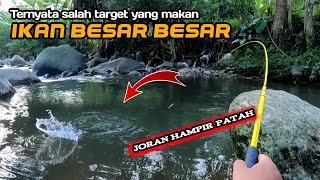 CRAZY.. ‼️ Fishing with the wrong float technique || Big fish strike (micro fishing)