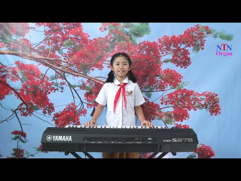 Video Em vẫn nhớ trường xưa - Organ - YouTube