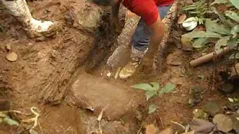 Como acabar com olho d'água?