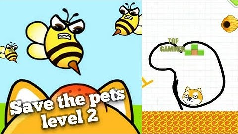 save the pets level 2 walkthrough Solution gameplay
