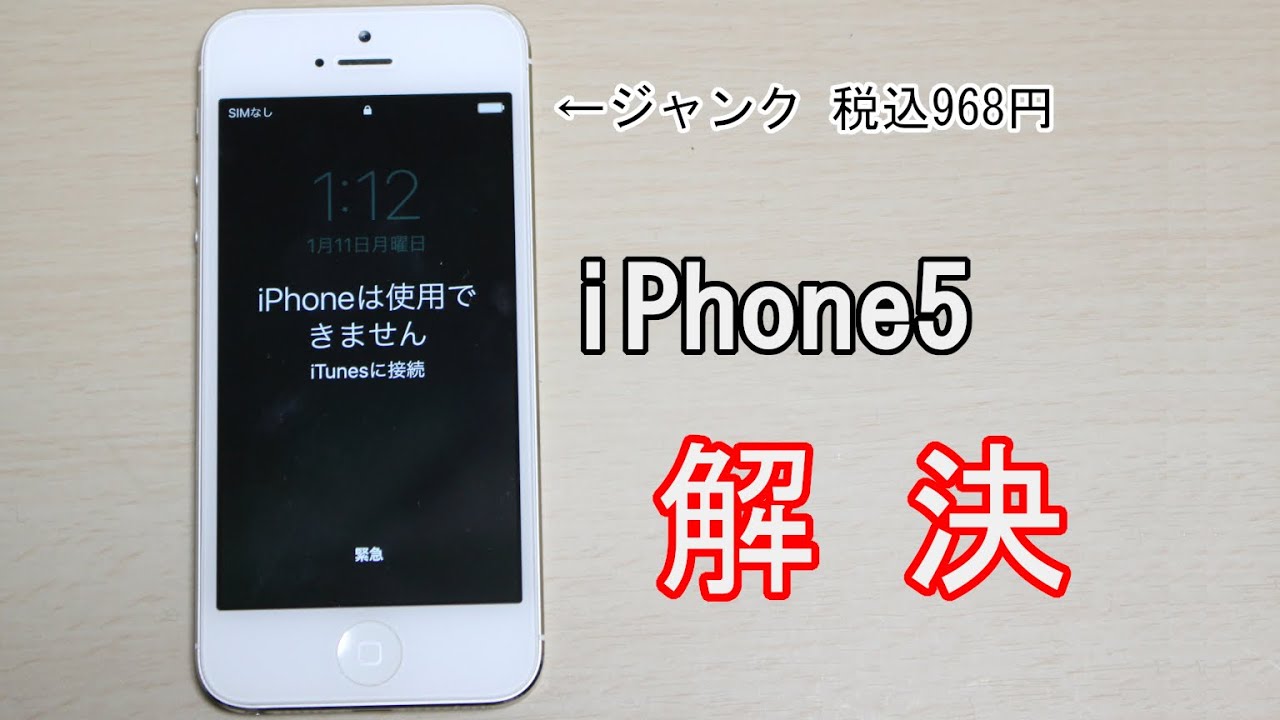 iPhone 13 Promaxジャンク品　リカバリーから復旧できず保証はなし iPhone 13 Promaxジャンク品 リカバリーから復旧できず保証はなし