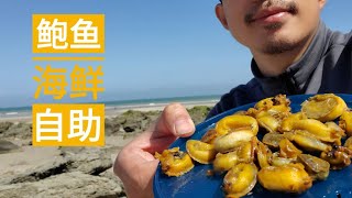 【法国户外生活】徒手挖鲍鱼，海鲜自助！一个自由插画师的法国之路 vlog14| Freedom （With subtitles） #老小林 #水彩插画 #life #health #work