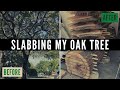 Start to Finish | Cutting Down & Slabbing an Oak Tree in My Driveway