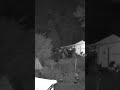 Caught on Camera: Was It a Cat?… or a Spirit in Disguise? 👀🕯️🐯