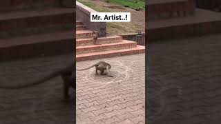 Mr Artist Creative Monkey Satisfying Fun
