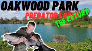 Monster UK catfishing Oakwood Park Predator Lake ... The Return