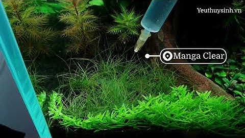 Diệt rêu tóc cấp tốc bằng thuốc Manga Clean, hiệu quả vượt sức tưởng tượng!