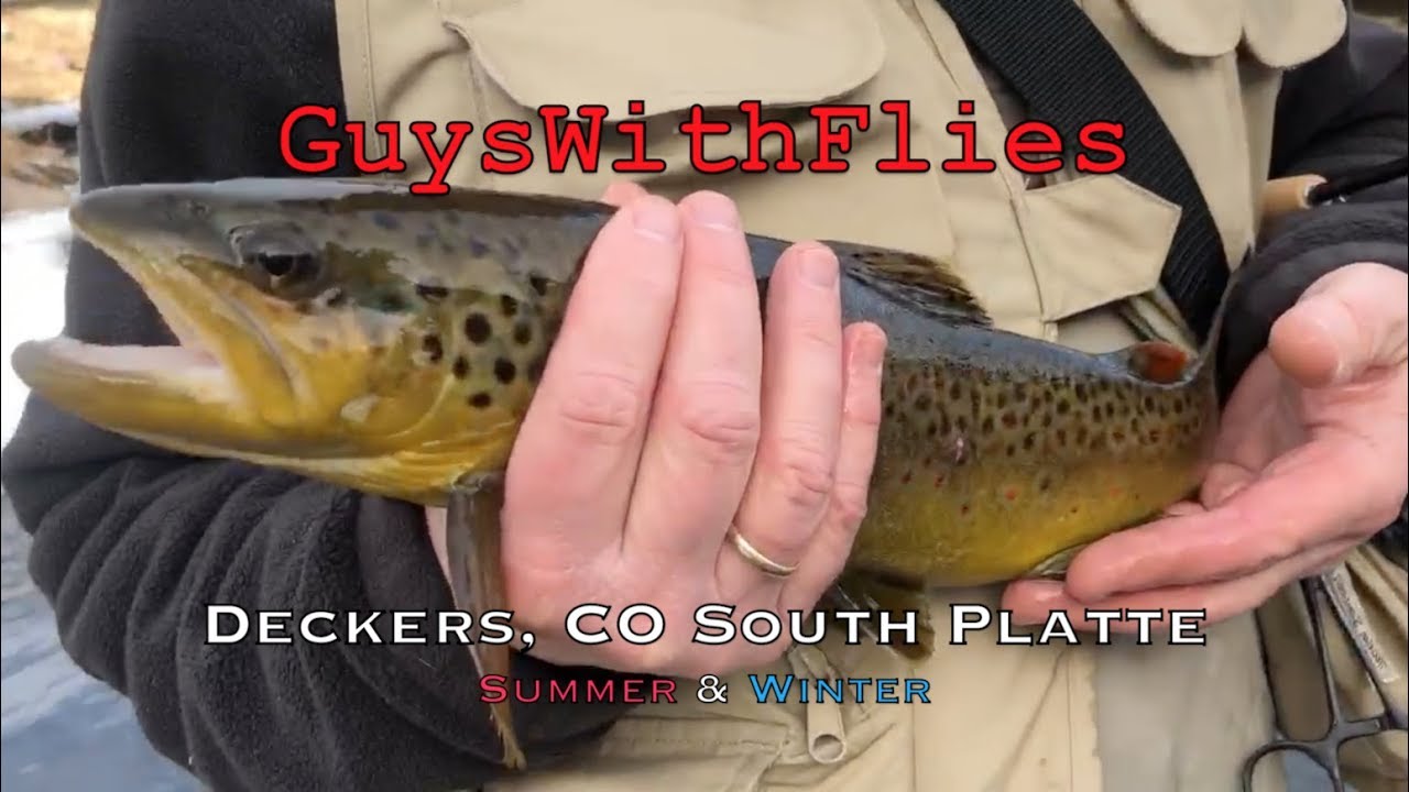 Fly Fishing South Platte in Deckers, CO Summer VS Winter GWF YouTube