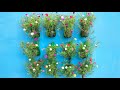 Beautiful( moss rose )protulaca planting vertical garden using plastic bottles.