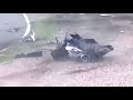 Best Of MOTORSPORT 2024 Terrifying CRASH COMPILATION Live NO FATAL